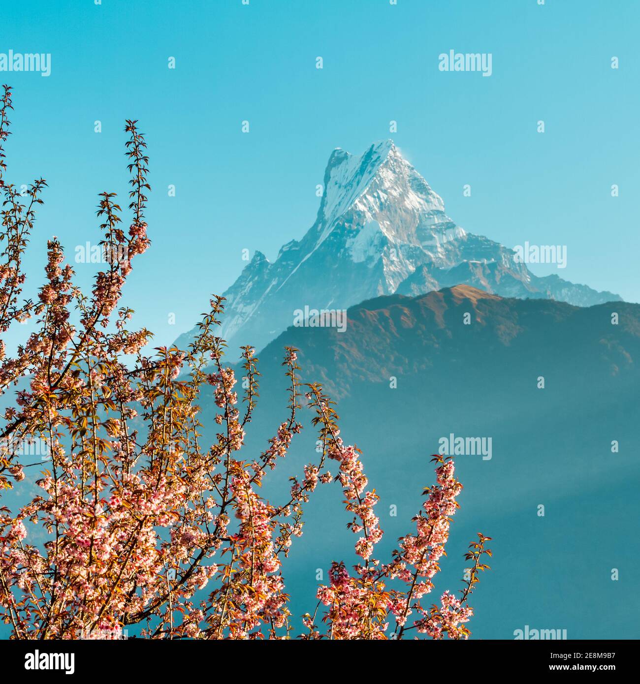 View of Mount Machapuchare from Nepali meaning Fishtail Mountain