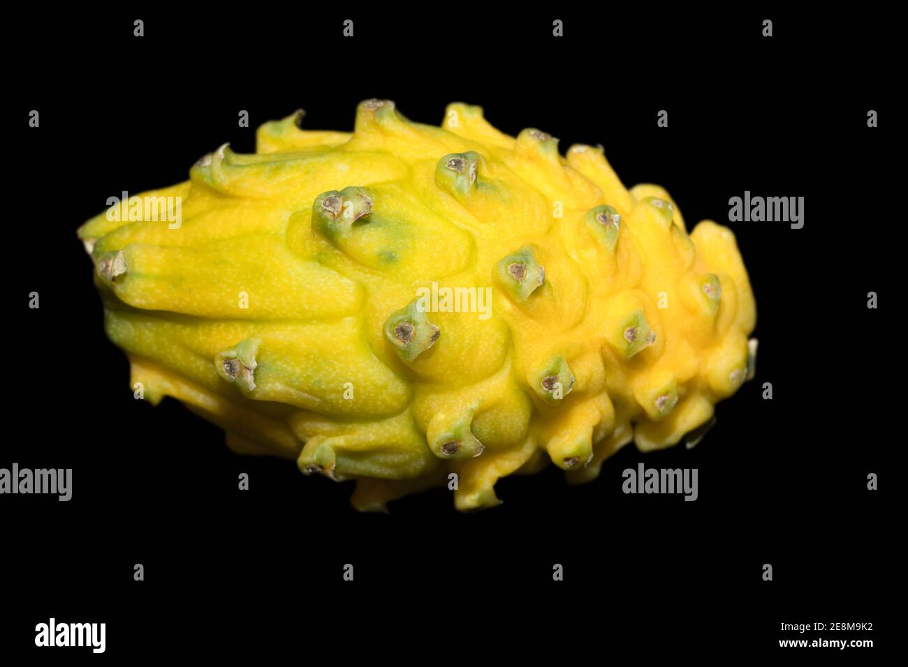 Pitaya Yellow Ripe Yellow pitahaya hi-res stock photography and images - Alamy