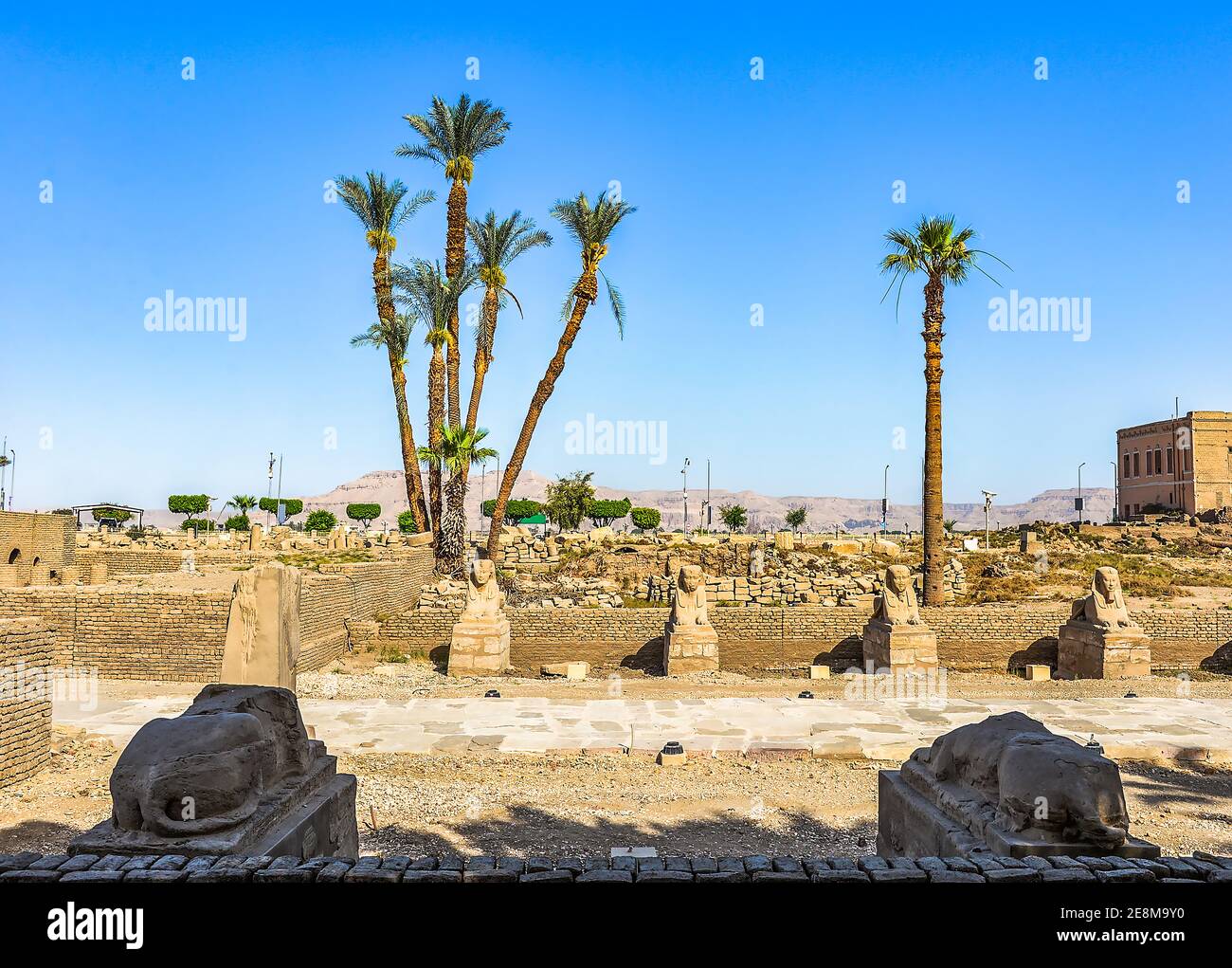 Aleey of sphinxes in Luxor temple, Egypt Stock Photo