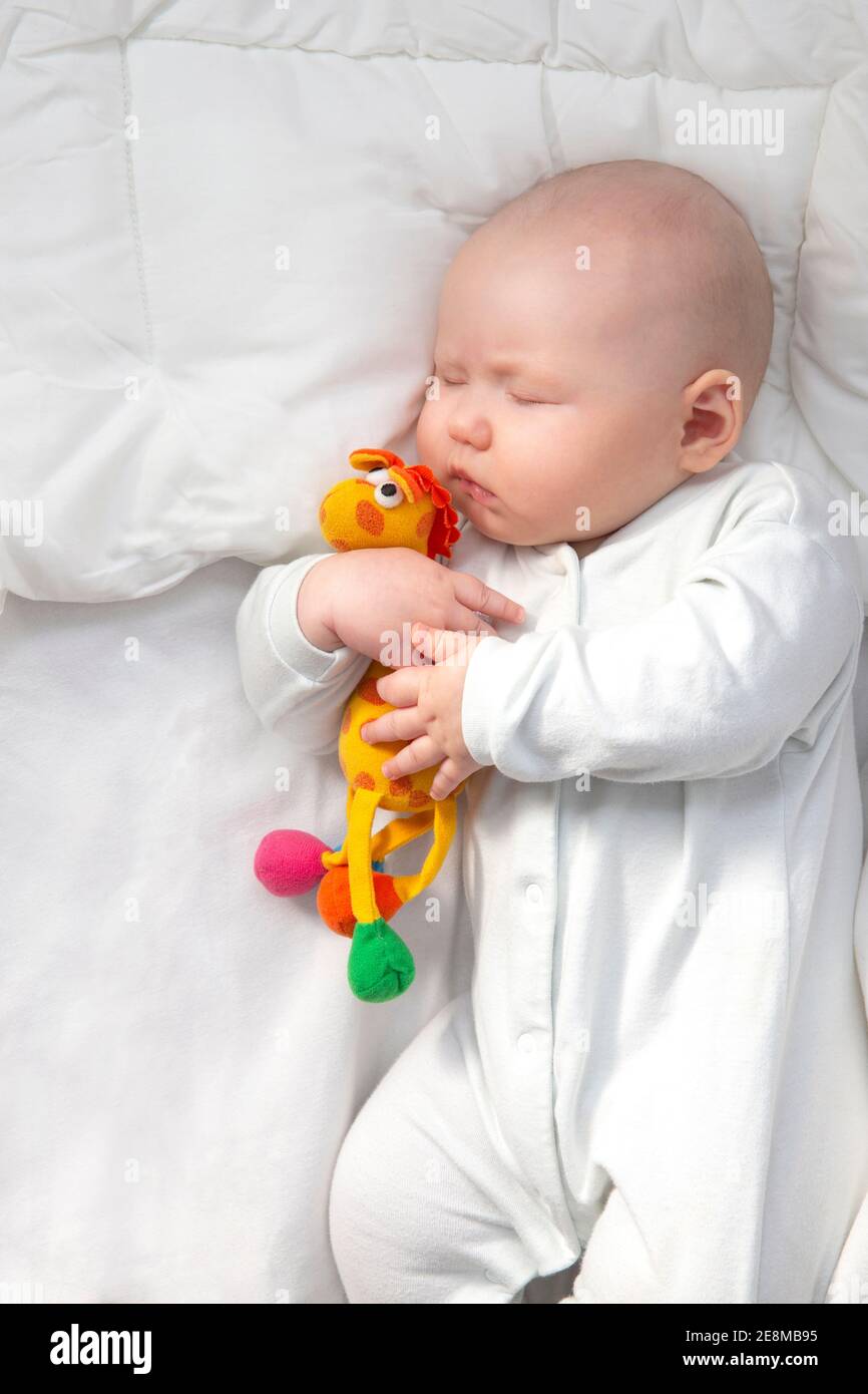 Baby sleeps on white bed linen. Cute infant hugs a giraffe toy. Stock Photo