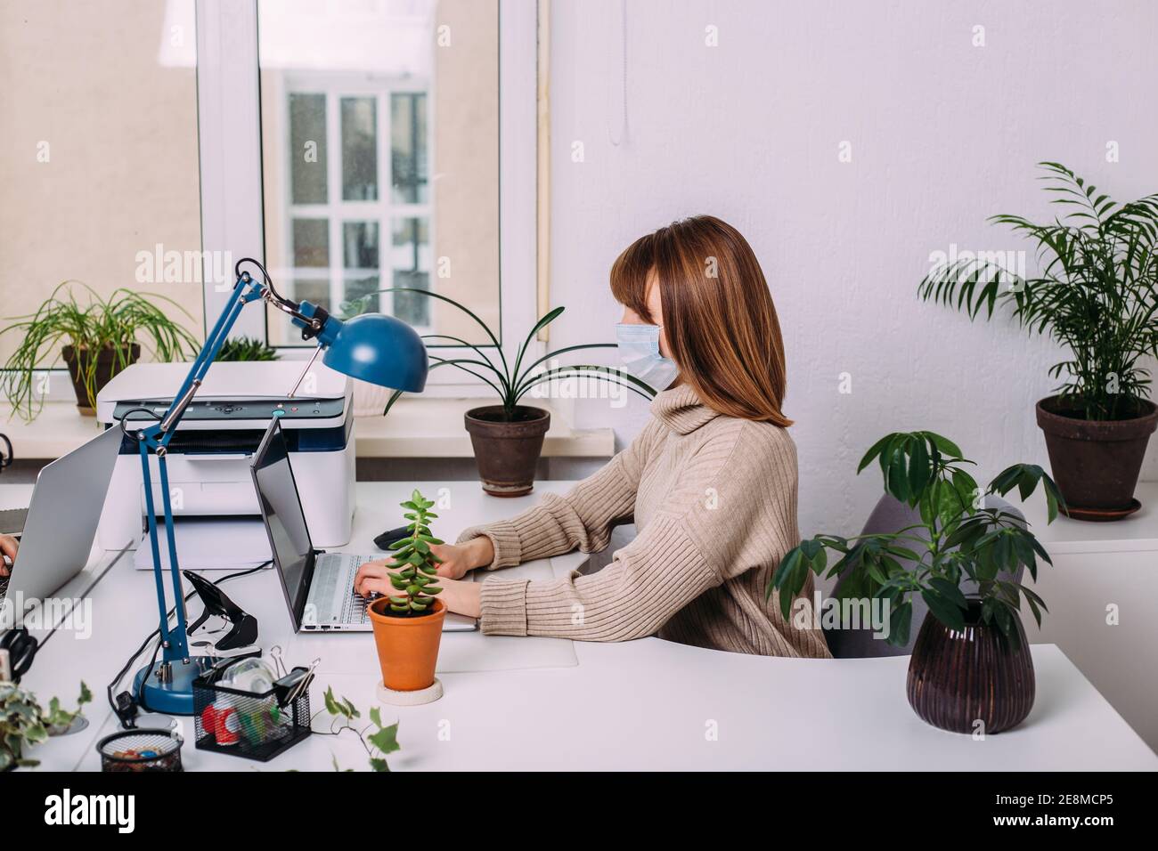 Beautiful business woman with a medical protective face mask working in a light office surrounded by plants. Stock Photo
