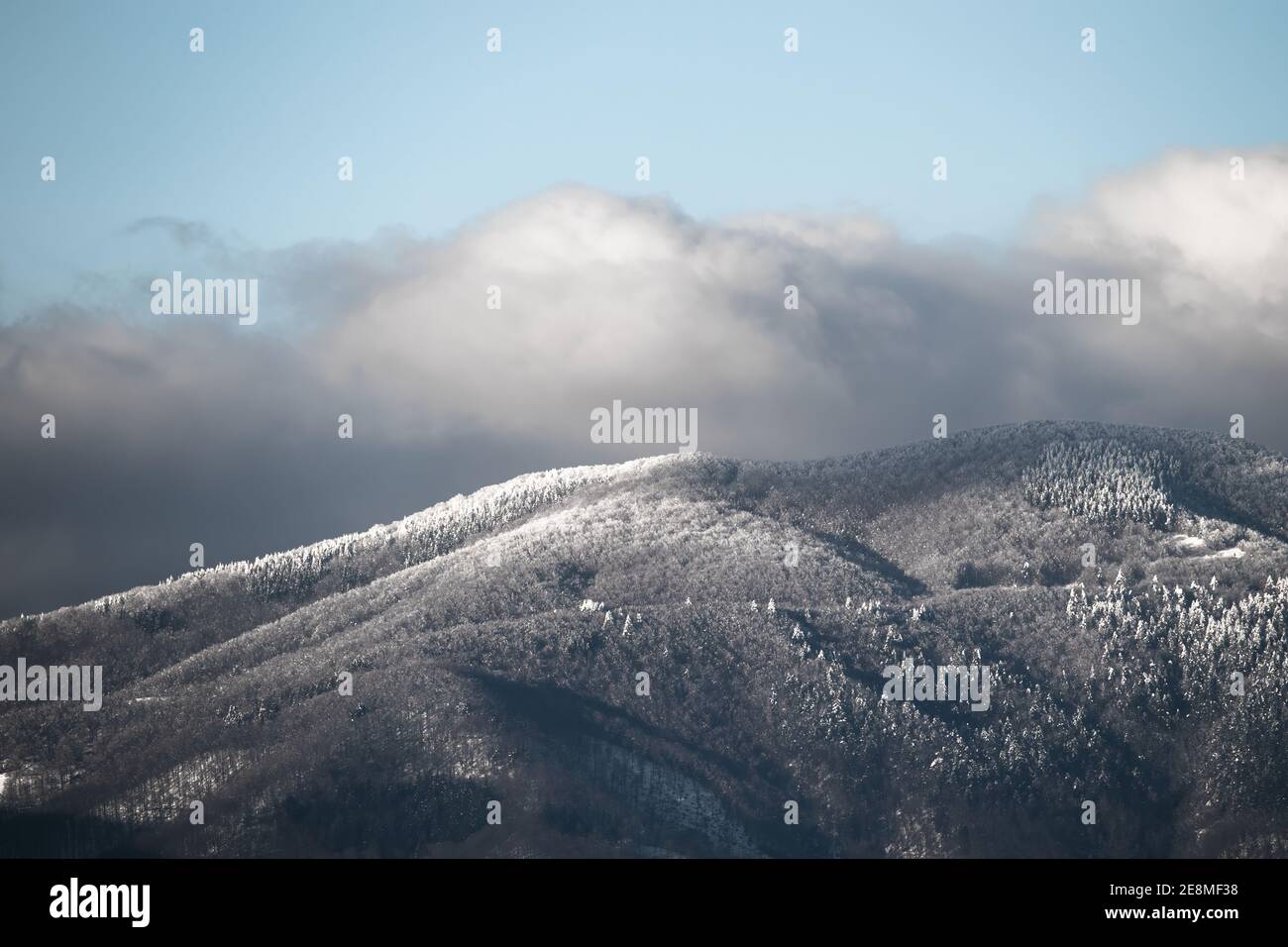 Snowy landscape. Tuscany, Italy. Stock Photo