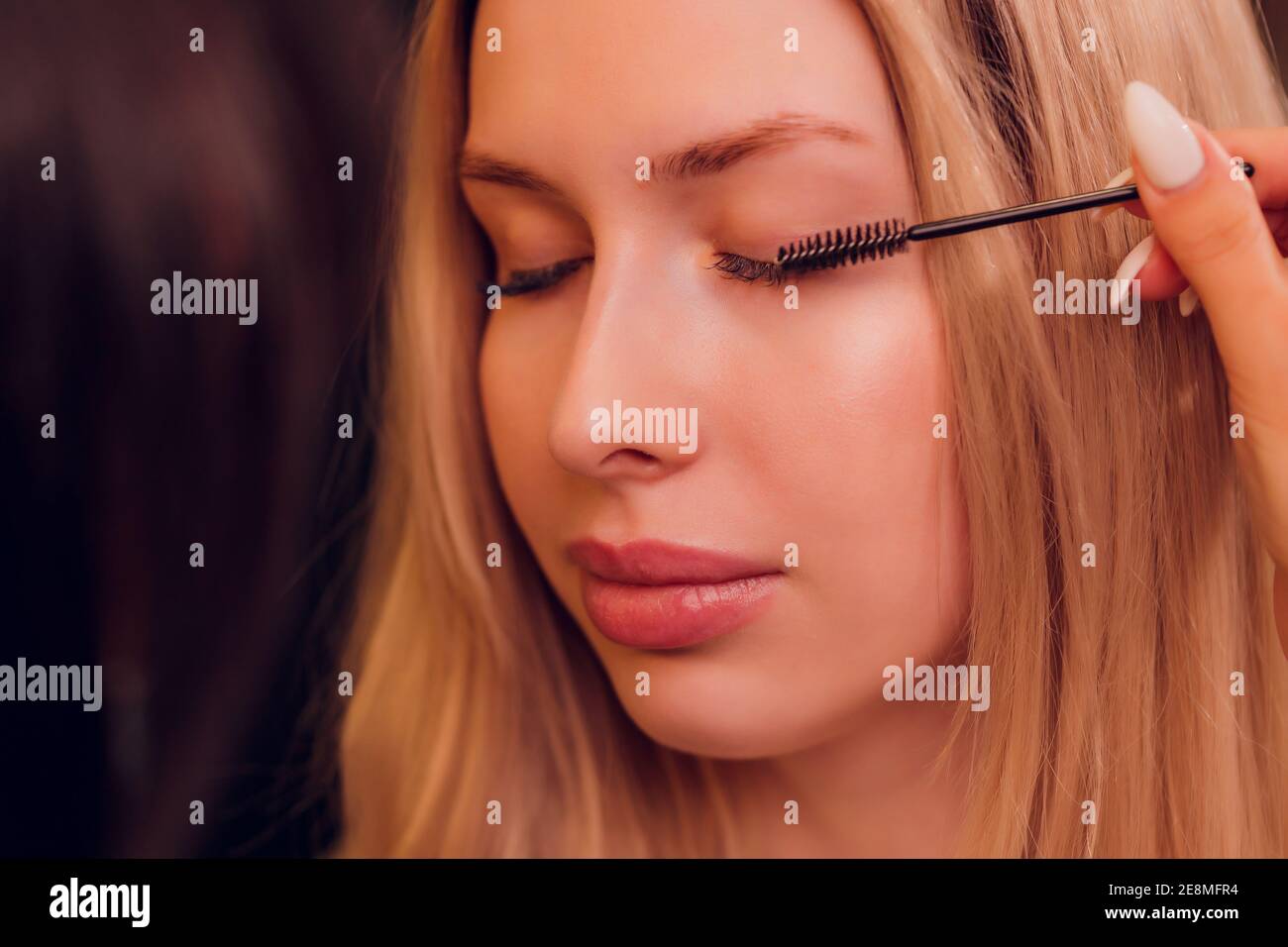 Eyebrows tinting treatment with natural henna dye Stock Photo Alamy