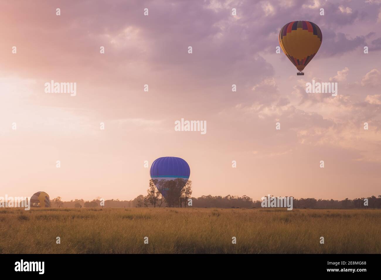 Golden sunlight on a summer morning cast over a scenic rural landscape as tourist hot air balloons approach for landing in the Hunter Valley region, r Stock Photo