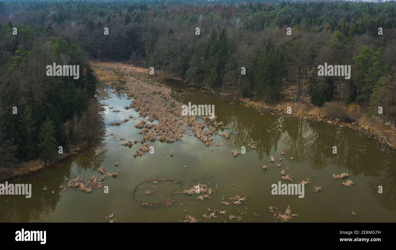Pond in autumn, aerial view of lake and woods in Europe Stock Photo