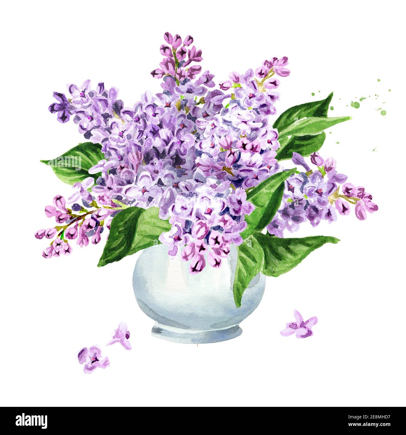Bouquet of lilac flowers in the vase. Hand drawn watercolor ...