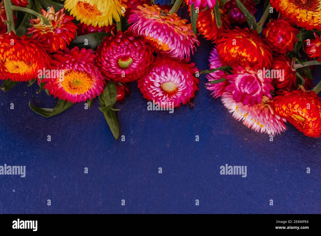 Everlasting flower posy hi-res stock photography and images - Alamy