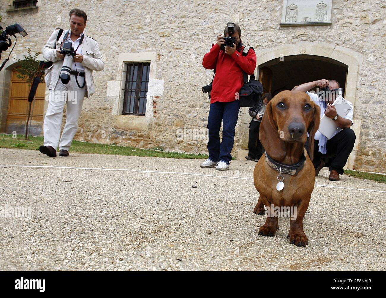 Danish Royal's dog 'Helike' poses during a photo call in his summer residence 'Chateau de Caix' near Cahors, France, on August 7, 2007. Photo by Patrick Bernard/ABACAPRESS.COM Stock Photo