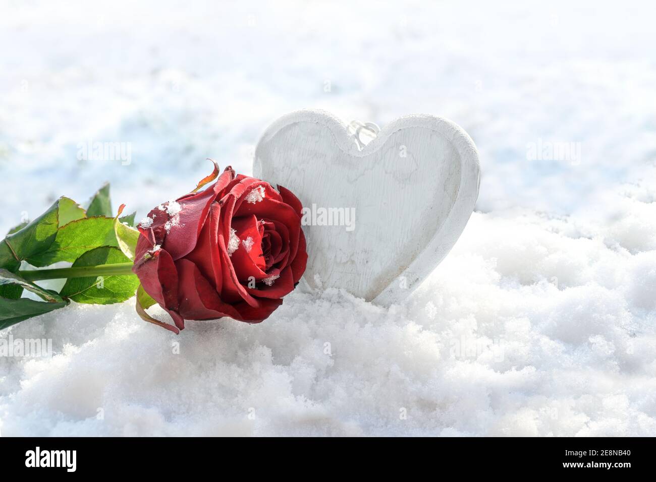 Red rose and a white painted wooden heart shape in the snow, love concept for seasonal holidays like valentines day, copy space, selected focus, narro Stock Photo