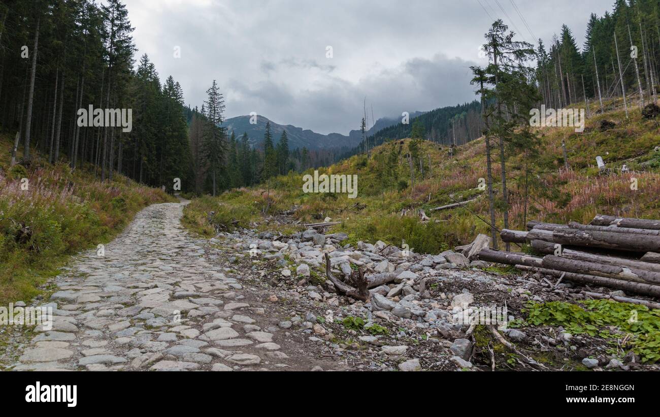 Tatra Mountains, National Park, Zakopane, Poland Stock Photo Alamy