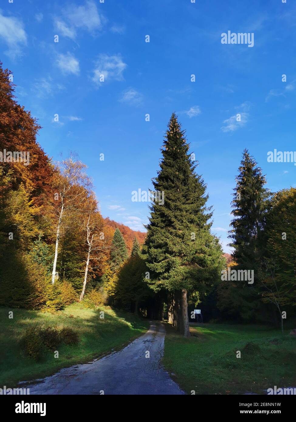Vertical shot pathway through hi-res stock photography and images - Alamy