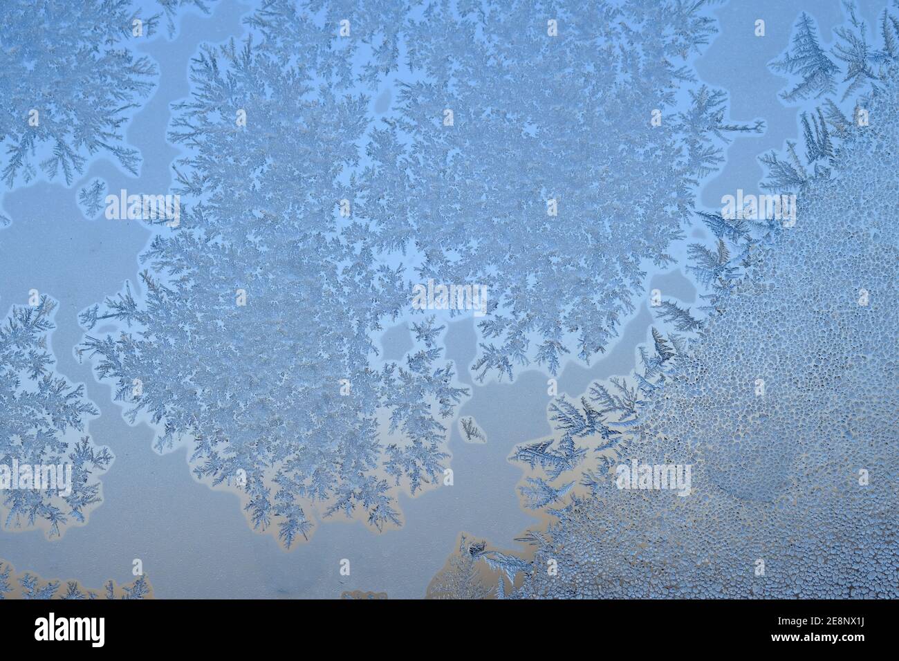 Elaborate and beautiful ice crystal patterns form on my window when it gets below -20C here in Ottawa, Ontario, Canada. Stock Photo