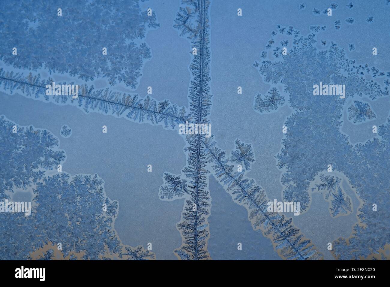Elaborate and beautiful ice crystal patterns form on my window when it gets below -20C here in Ottawa, Ontario, Canada. Stock Photo