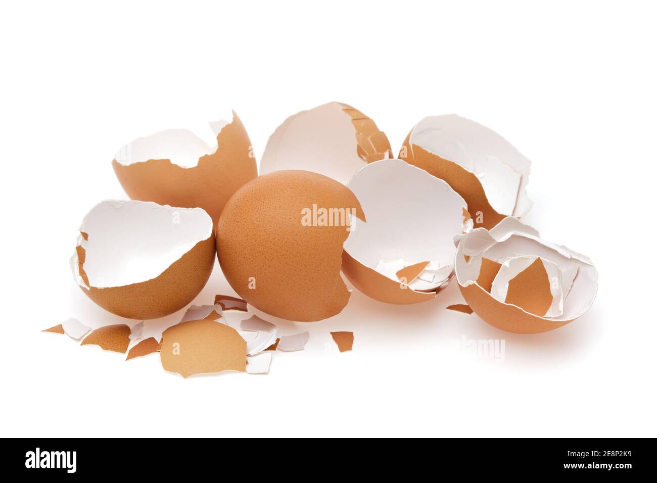 Eggshell. Shell of eggs on white. Stock Photo