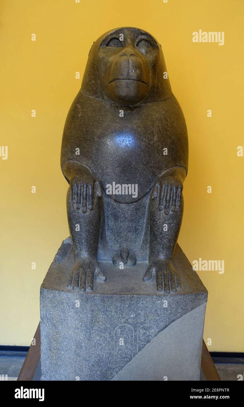 Monkey, MC inv. 26, Egyptian, 30th dynasty, 359-341 BC, granite, view 1 - Stock Photo