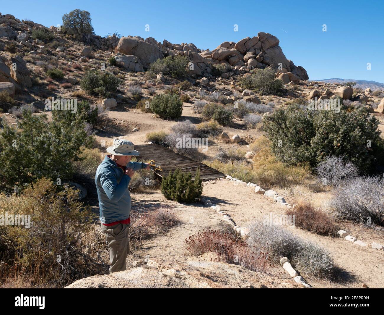Shooting Rocks Man with slingshot shooting rocks in desert on sunny day in Yucca ...