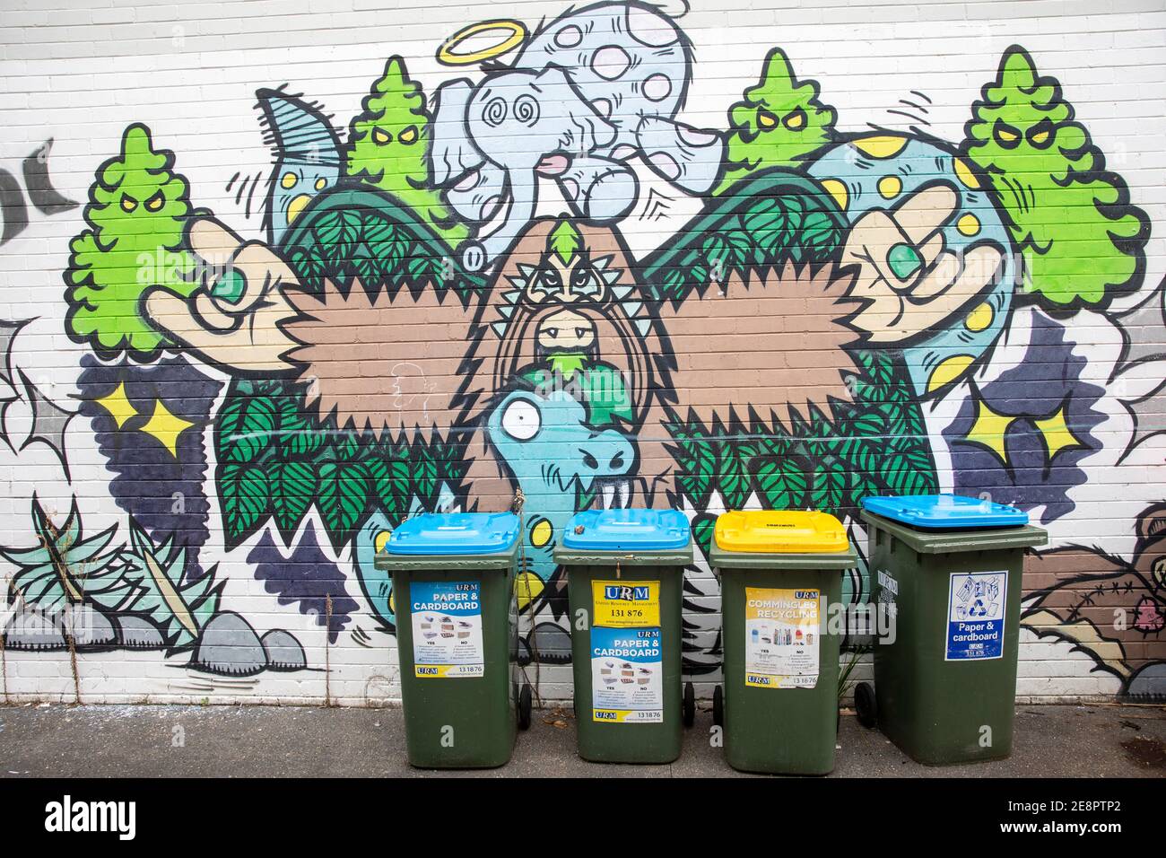 Wheelie bins for general rubbish, cardboard and paper and yellow recycling bins out for