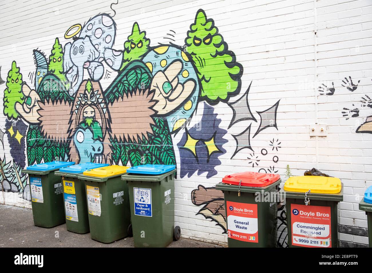 Wheelie bins for general rubbish, cardboard and paper and yellow recycling bins out for
