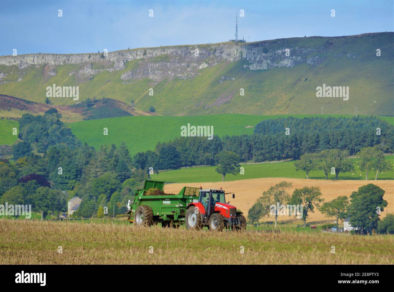 Massey Ferguson tractor spreading manure, Lundie, Perthshire, Scotland Stock Photo