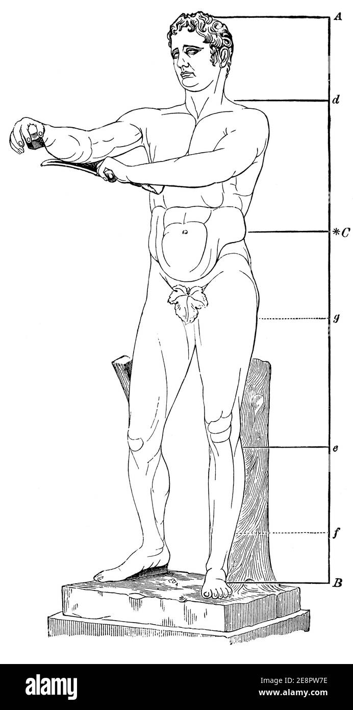 Apoxyomenos (the 'Scraper') - ancient Greek votive sculpture by Lysippos of Sikyon. Body proportion markers. Illustration of the 19th century. Germany. White background. Stock Photo
