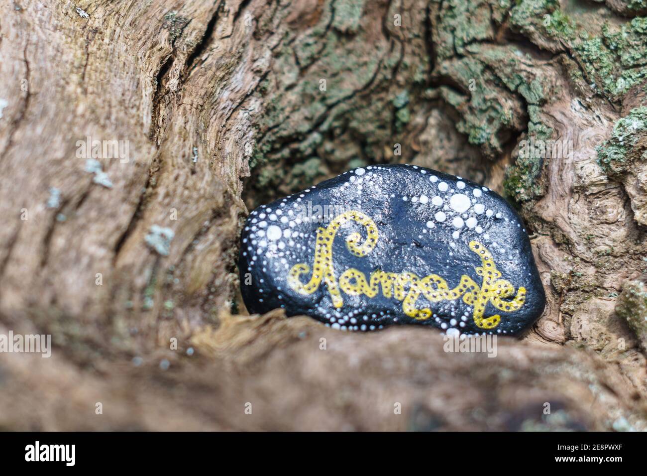 Close up of painted stone in yellow and black color with written word Namaste surrounded by wood Stock Photo