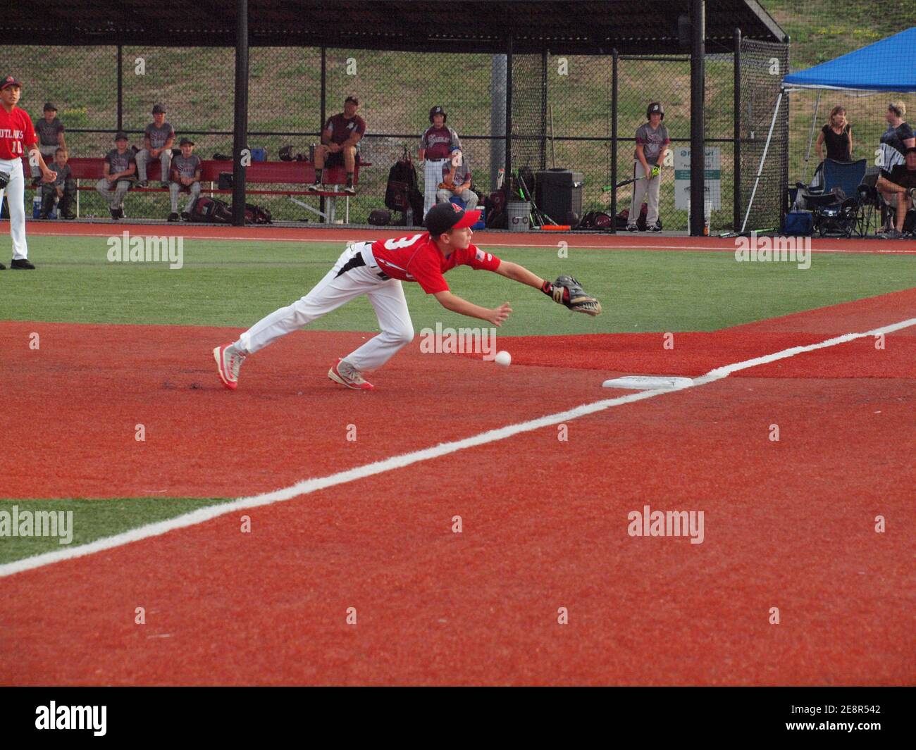 Youth baseball player attempting to catch a ground ball in a local baseball game while others watch the action on a New Jersey field. Stock Photo