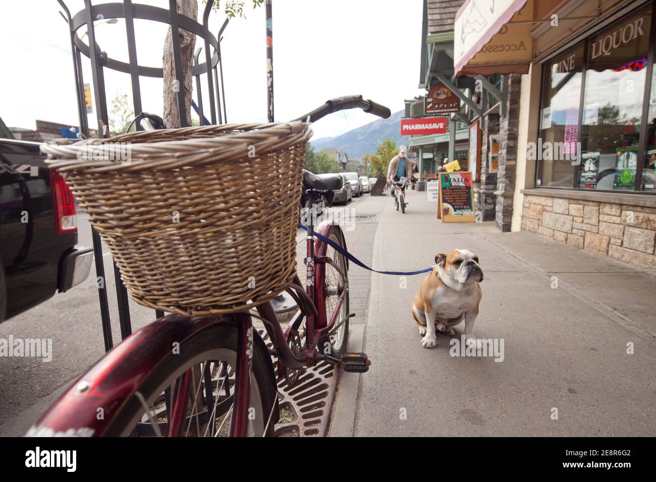 Patricia Street, Jasper town centre, Alberta Stock Photo Alamy