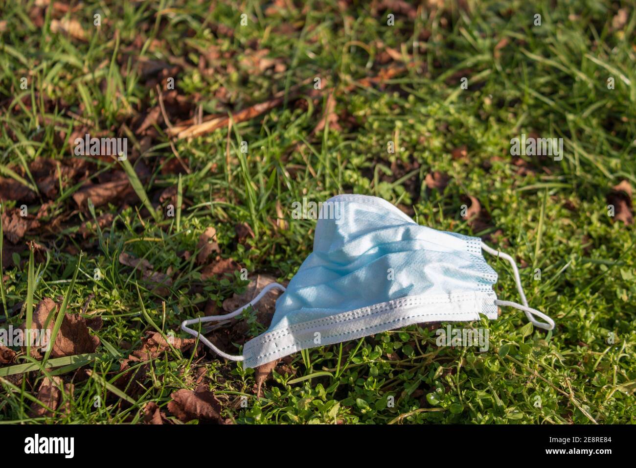 Disposable earloop face mask garbage in nature. Waste during COVID-19 pandemic Stock Photo