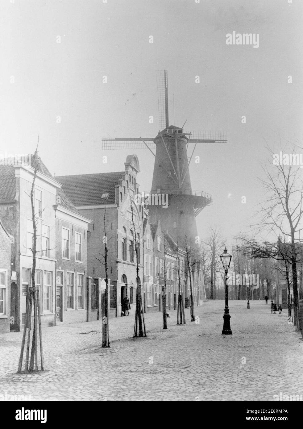 oranjeboom-hi-res-stock-photography-and-images-alamy