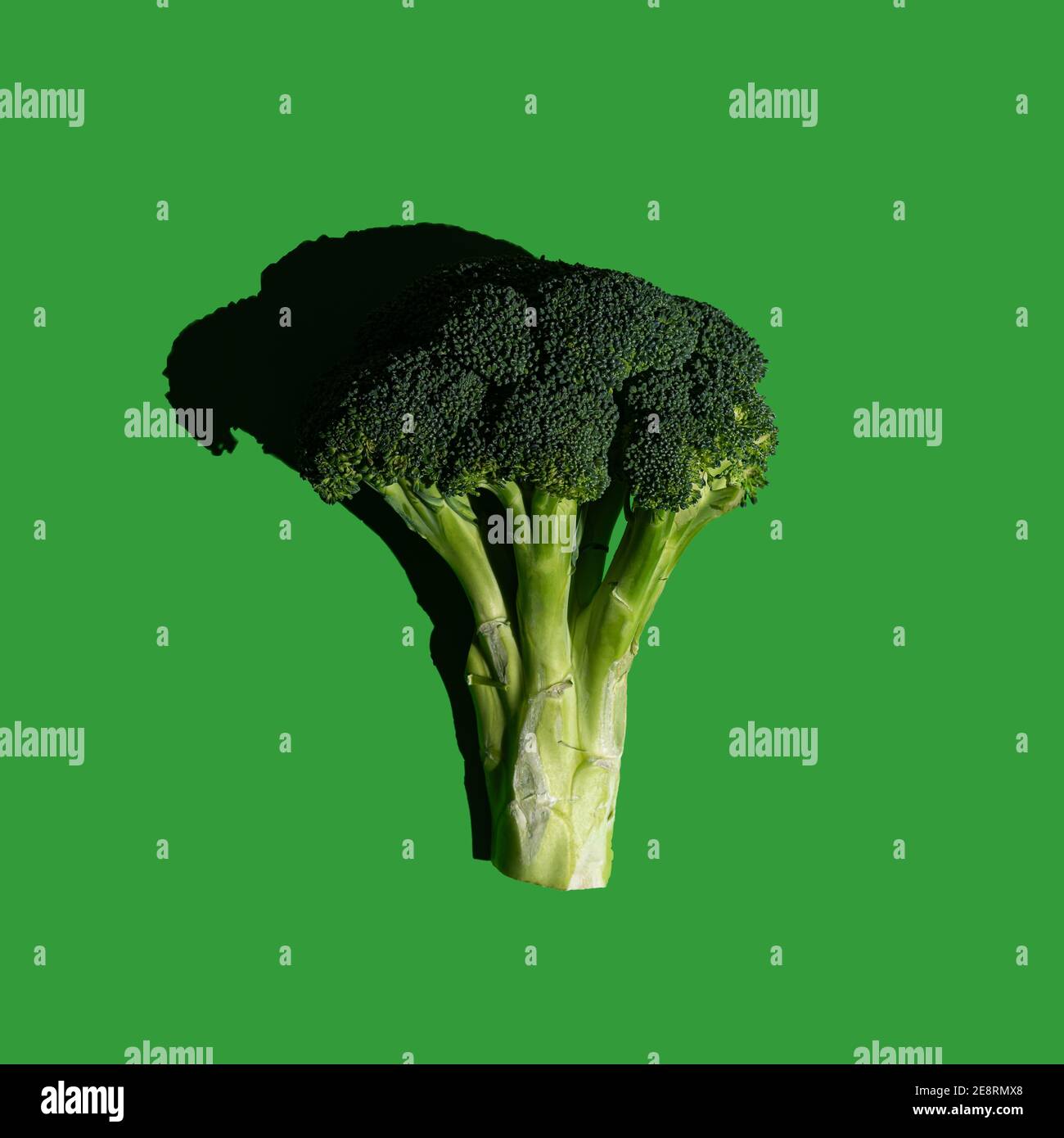 Inflorescence broccoli hi-res stock photography and images - Alamy