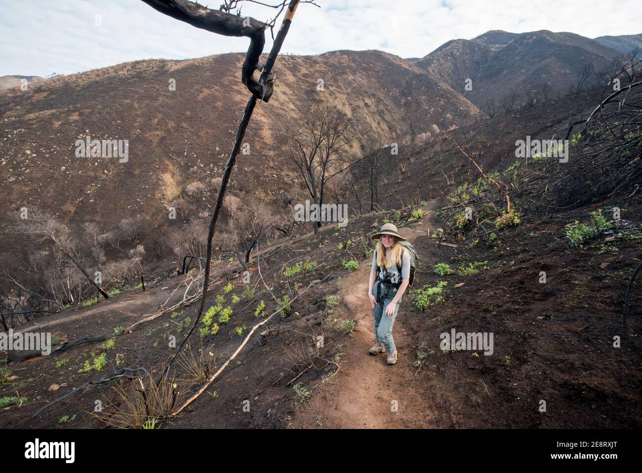California solano county landscape hi-res stock photography and images -  Alamy