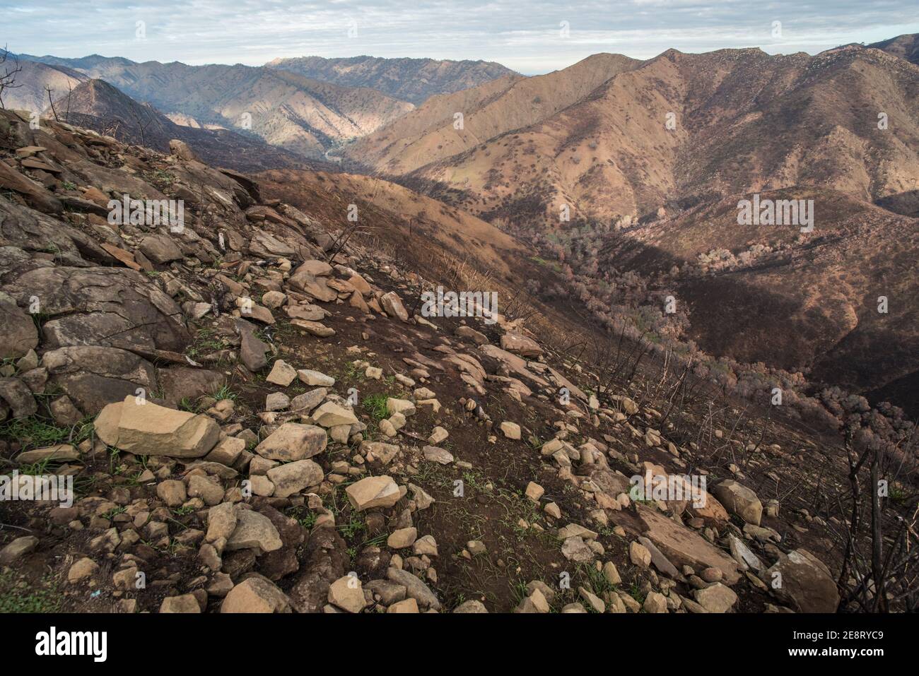 The burned landscape of California after fires from the lighting wildfires  swept through and left charred mountains and valleys behind Stock Photo -  Alamy