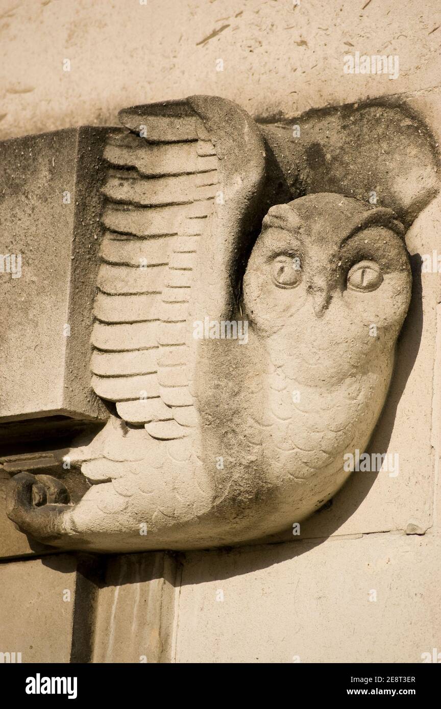 An art deco style carving of an owl on an outer wall of the West Wing of Southampton's Civic Centre, Hampshire. Built in 1933 to house the city's poli Stock Photo