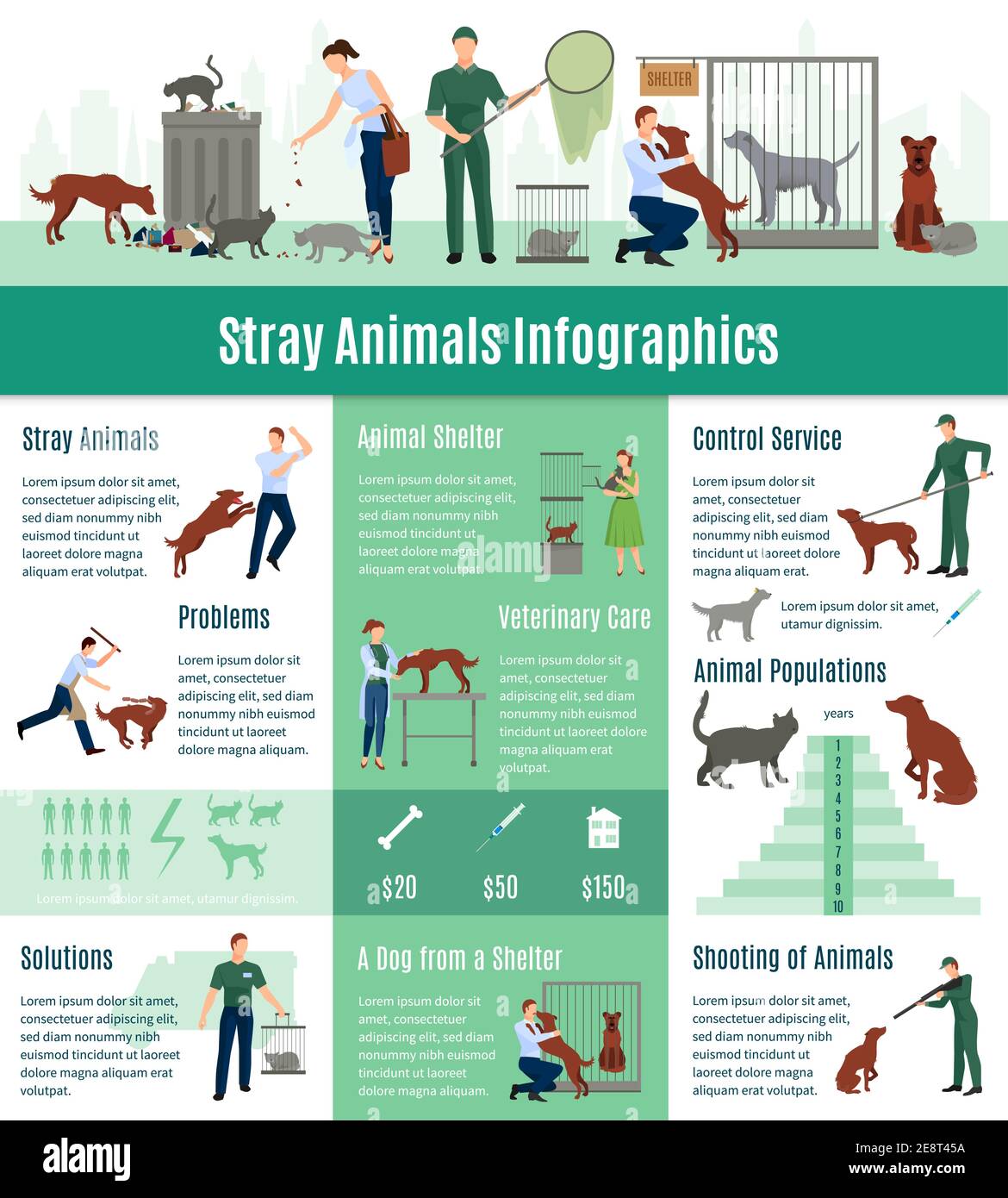 Stray animals infographics set with the calculation value on veterinary  services population number of animals from a shelter who gained home vector  il Stock Vector Image & Art - Alamy