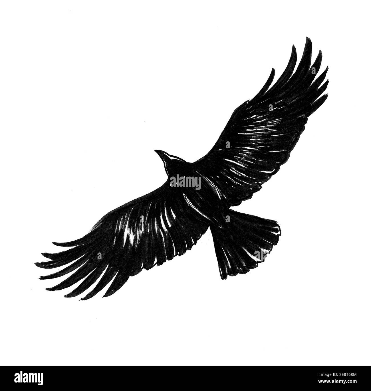 Flying crow. Ink black and white drawing Stock Photo - Alamy