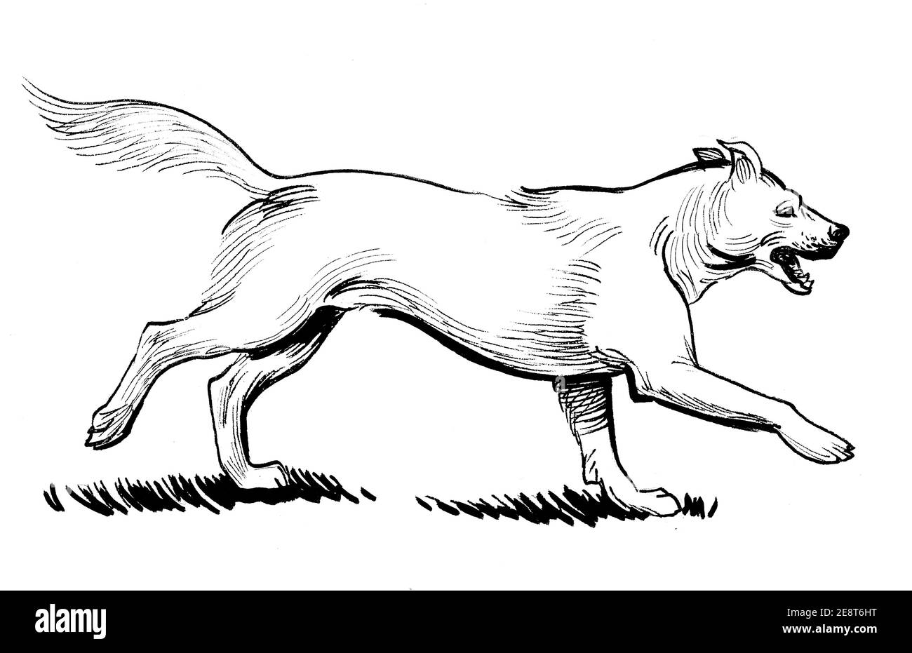 Running dog. Ink black and white drawing Stock Photo - Alamy
