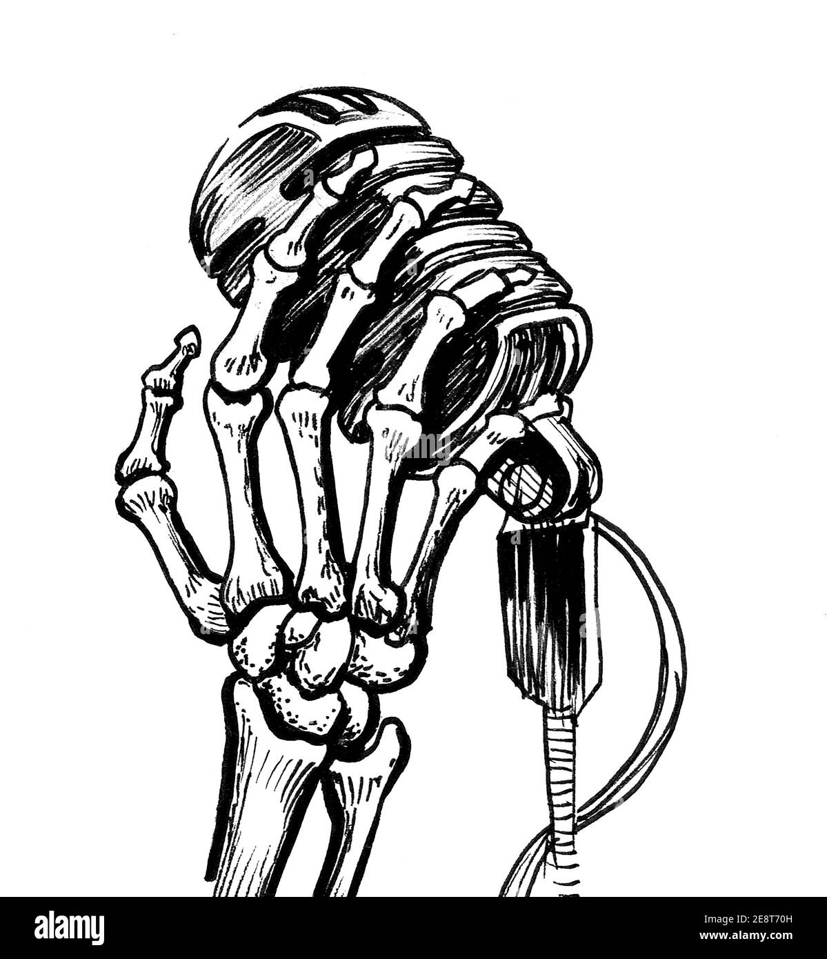 skeleton hand holding ball