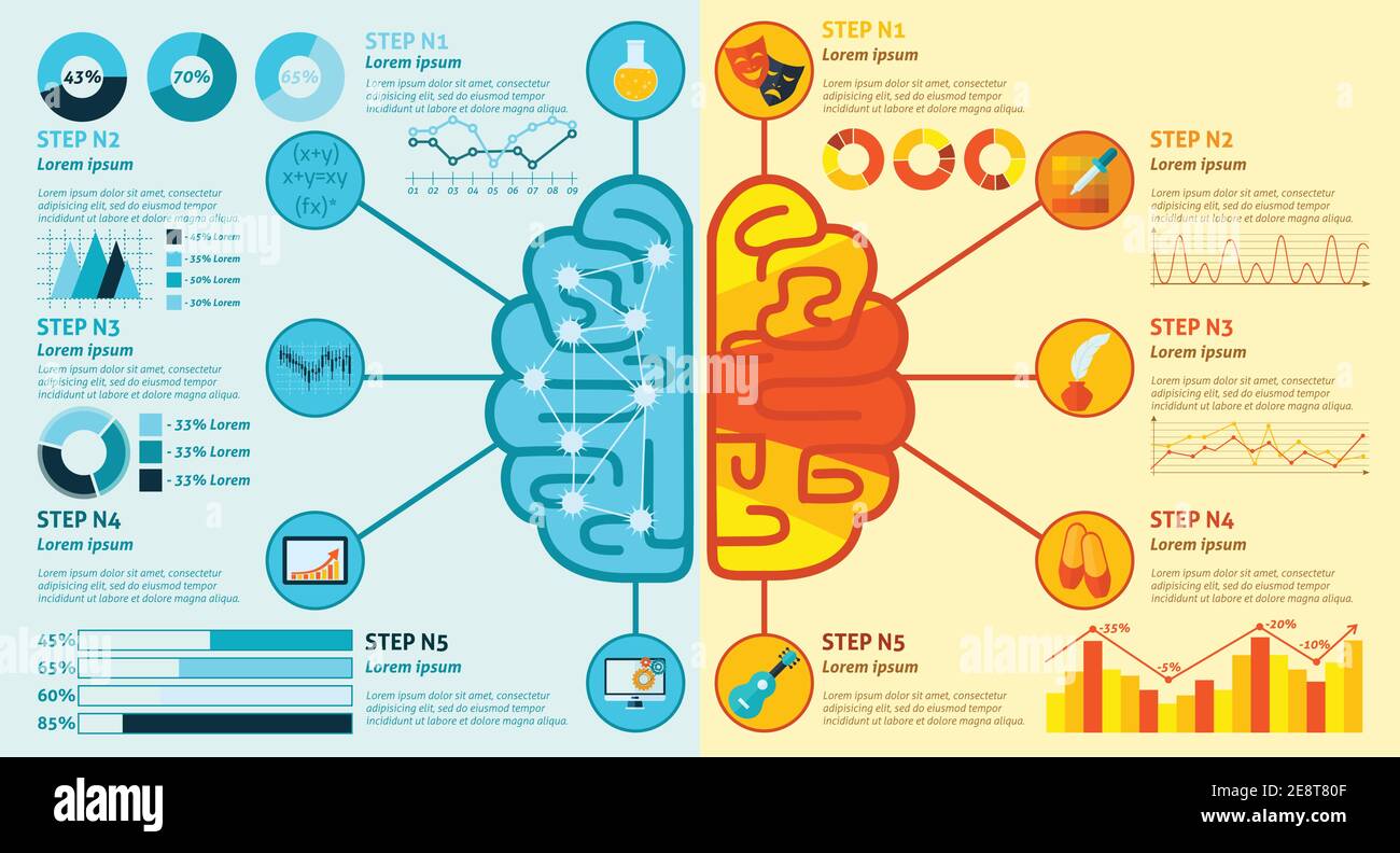 Left and right brain hemisphere functions infographics set with charts vector illustration Stock Vector
