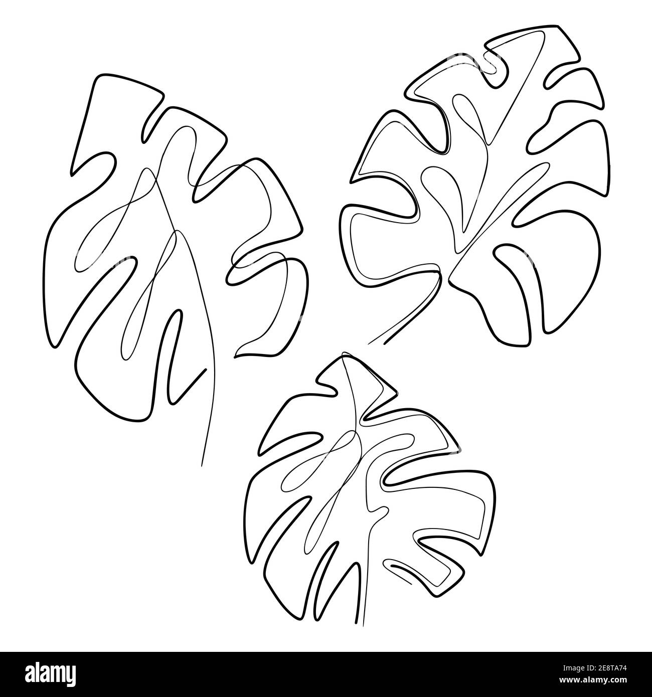 Set of contour illustration of monstera leaves. Tropical flora. Monoline picture. Vector trendy continuous line foliage of various shapes. Natural sti Stock Vector