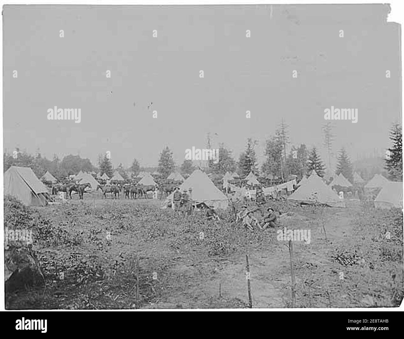 Soldiers and animals Black and White Stock Photos & Images - Alamy