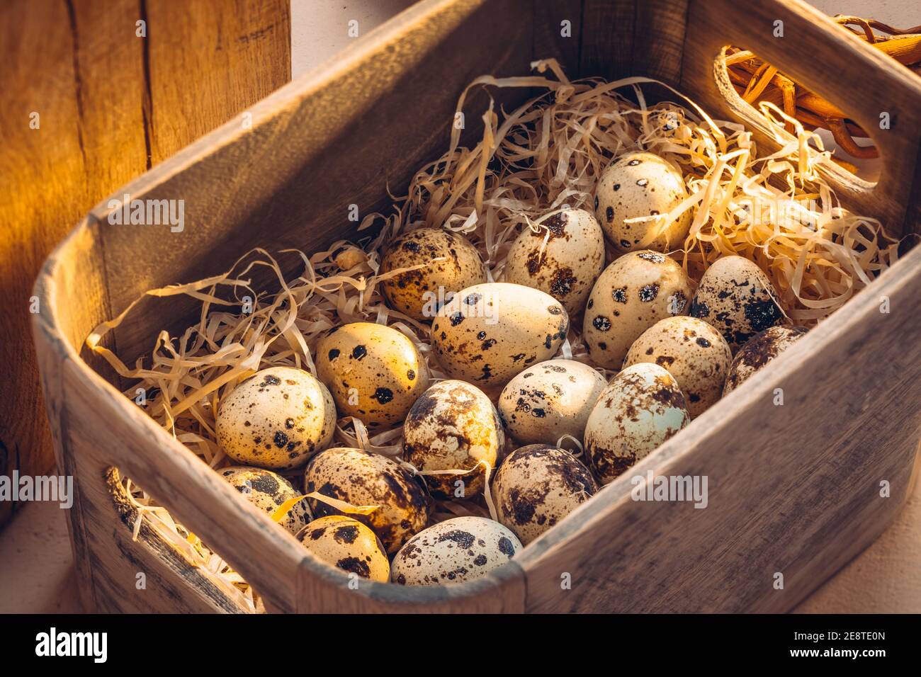 Quail eggs in a wooden box Stock Photo