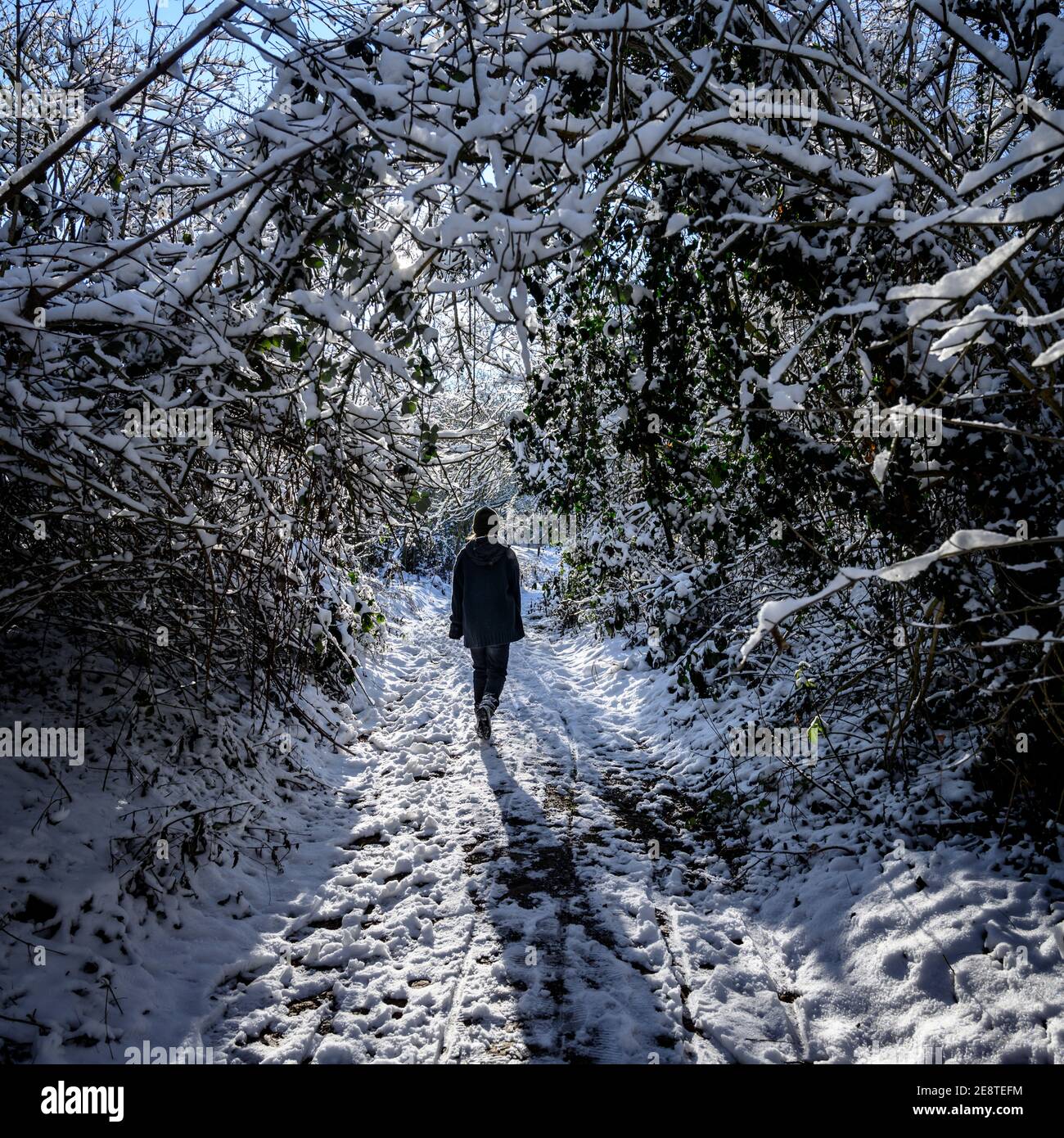 Girl walking through snow hi-res stock photography and images - Alamy