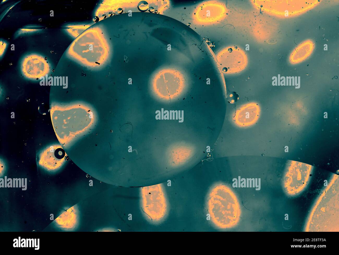 Oil bubbles inside water base form patterns Stock Photo Alamy