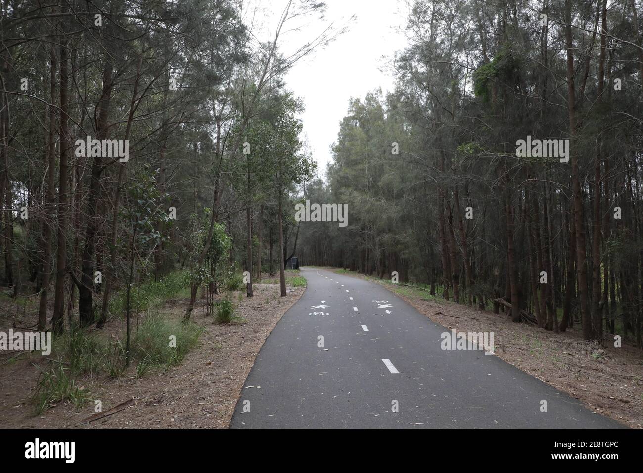 Walking and cycling path in Sydney Olympic Park. Stock Photo