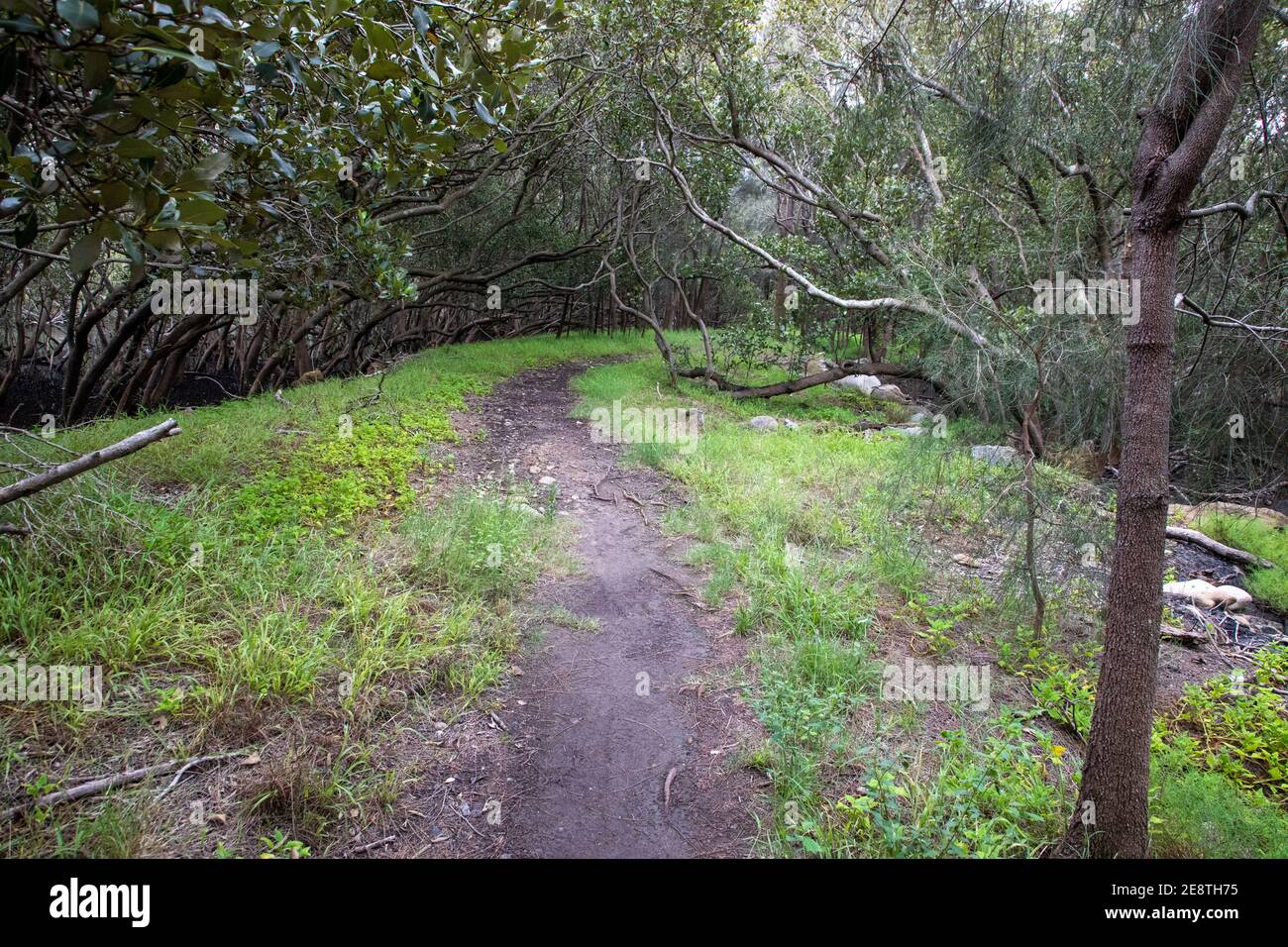 Track in Sydney Olympic Park. Stock Photo