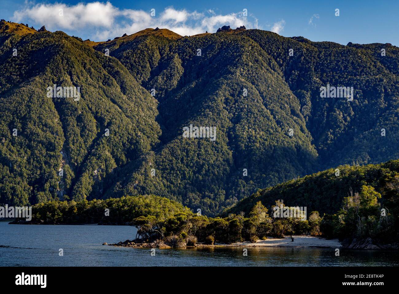 Fiordland National Park beside Lake Te Anau on South Island, New Zealand. Stock Photo