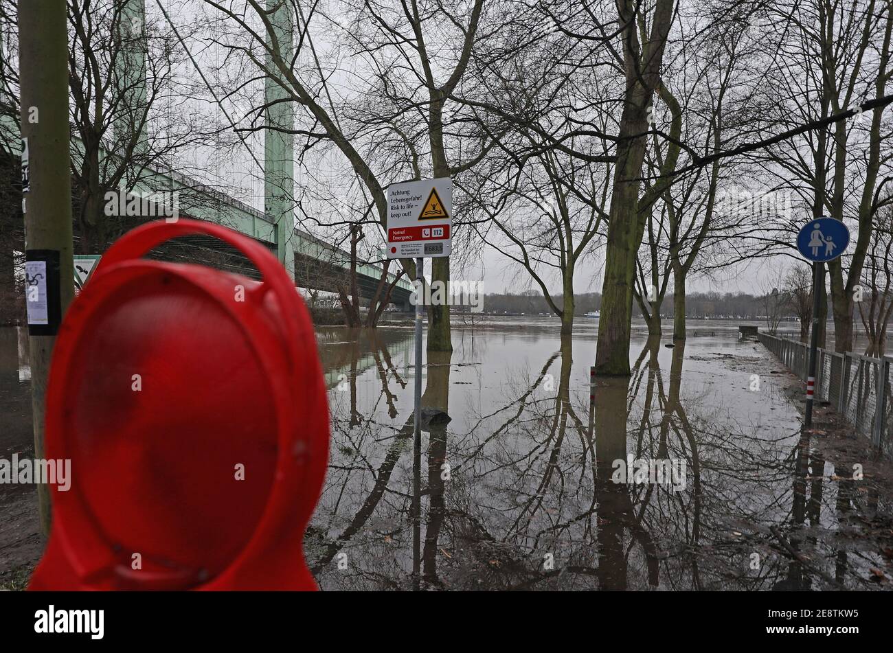 Cologne, Germany. 01st Feb, 2021. The Rhine has flooded parts of the