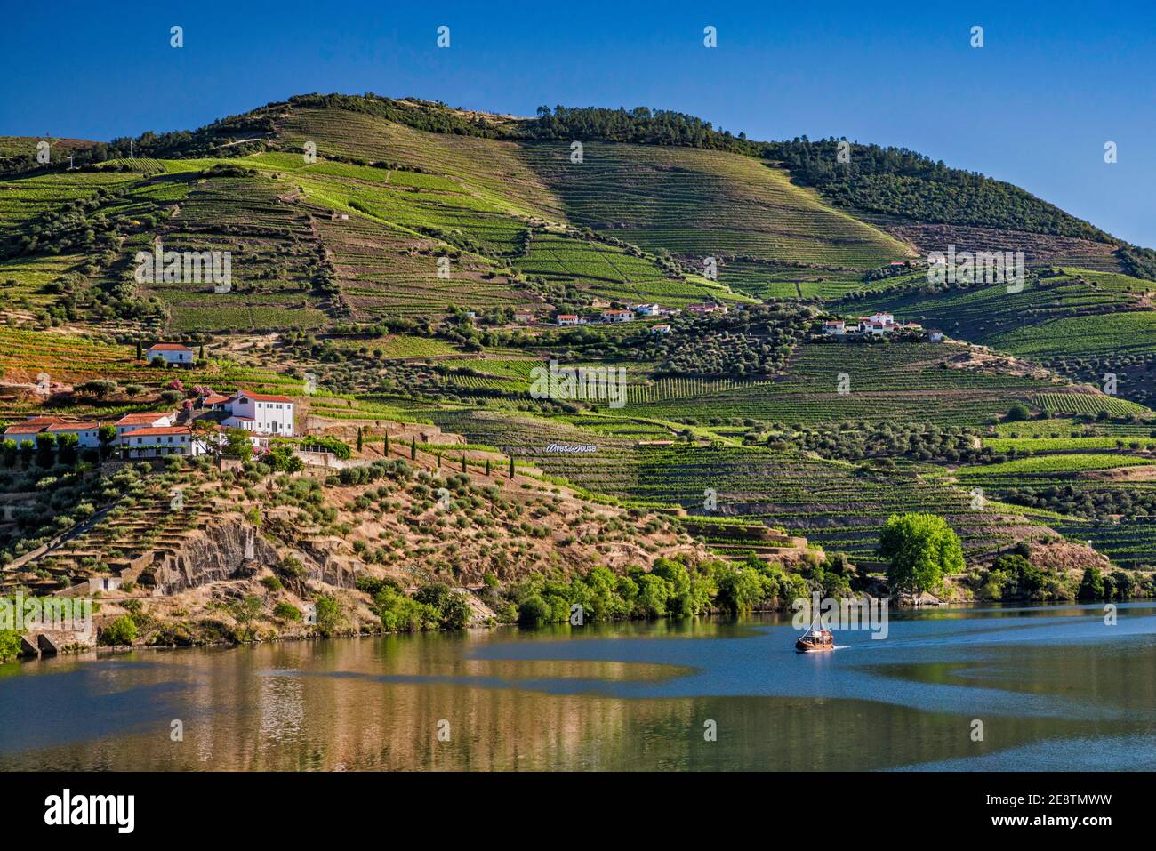 Terraced vineyards over Rio Douro, in Vale do Douro, Cima Corgo (Upper Corgo), The Alto Douro, near Pinhao, Norte region, Portugal Stock Photo