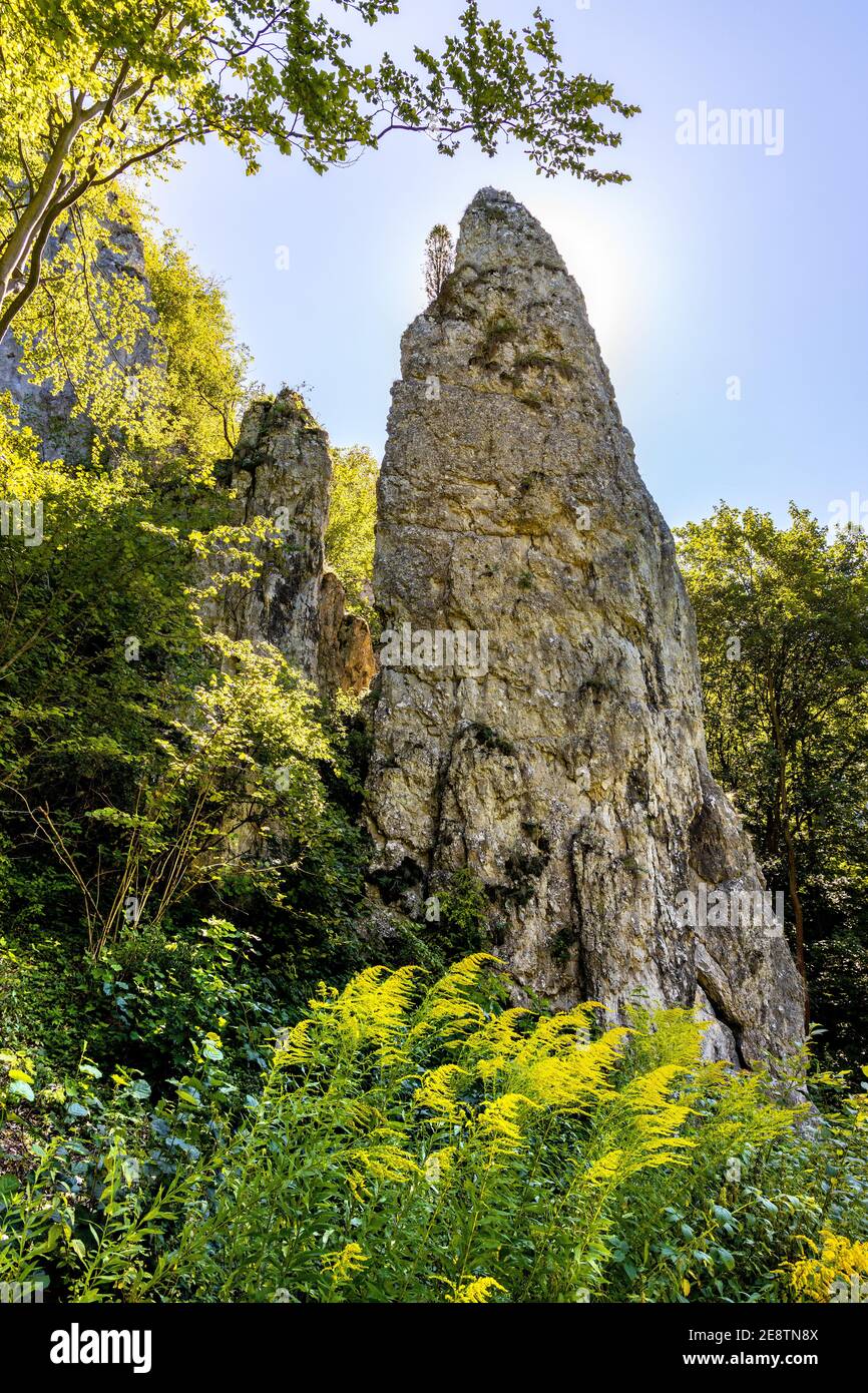 Iglica limestone rock known as Spire or Needle in Bedkowska Valley within Jura Krakowsko-Czestochowska upland near Cracow in Lesser Poland Stock Photo