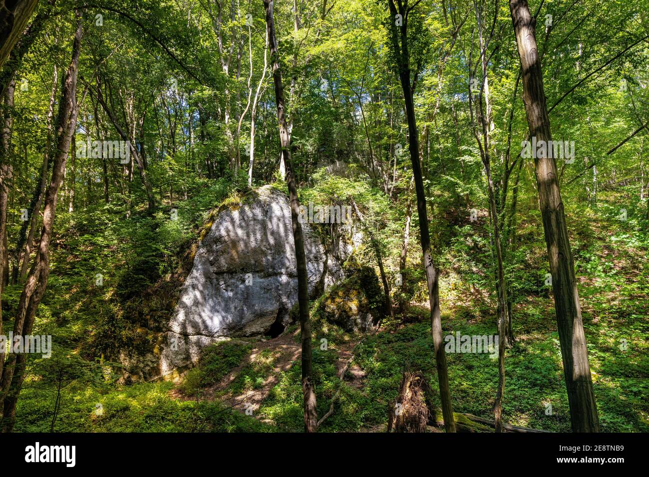Limestone cave in Bedkowska Valley mixed forest within Jura Krakowsko-Czestochowska upland near Cracow in Lesser Poland Stock Photo